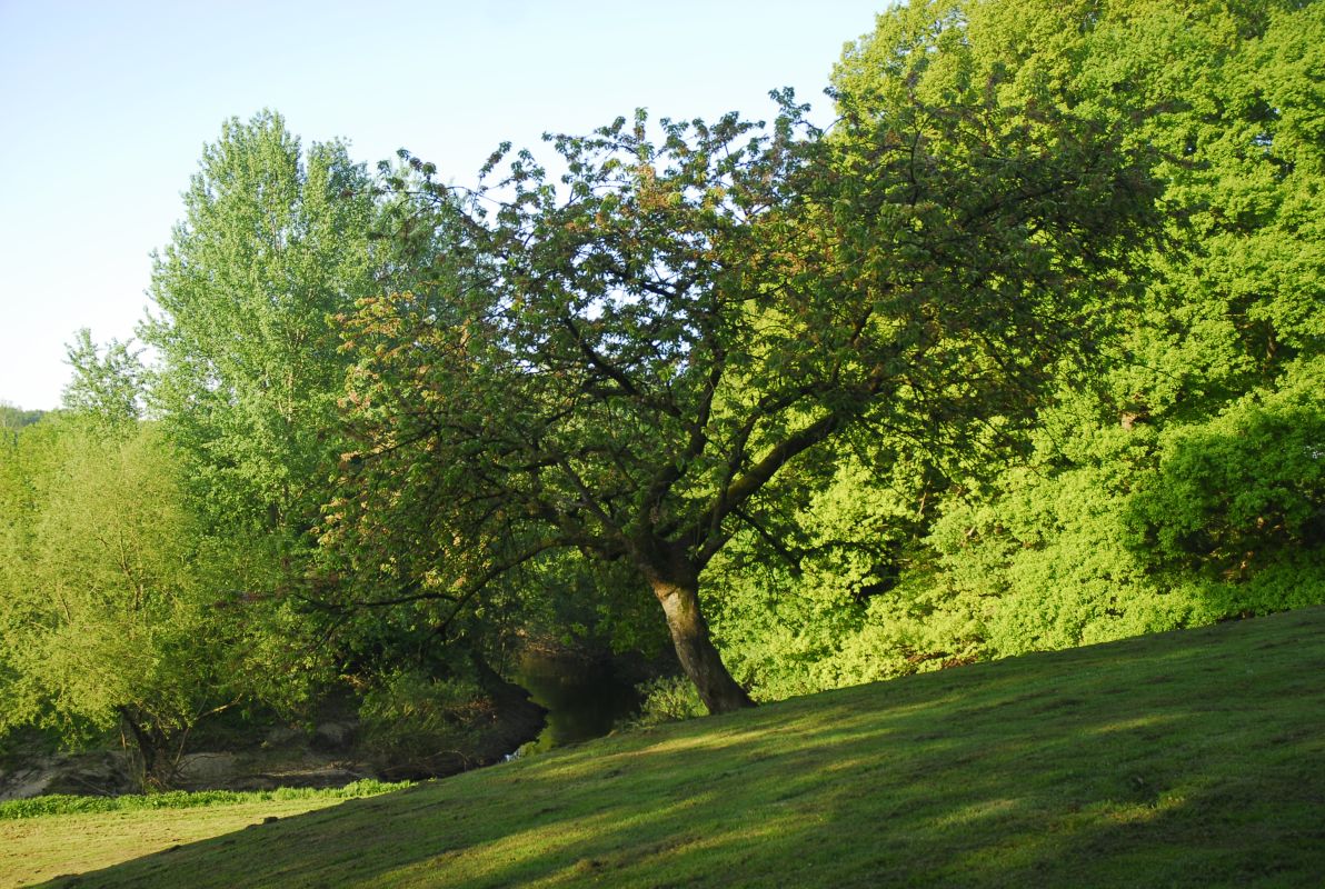 Landhaus Eggert Bild 42