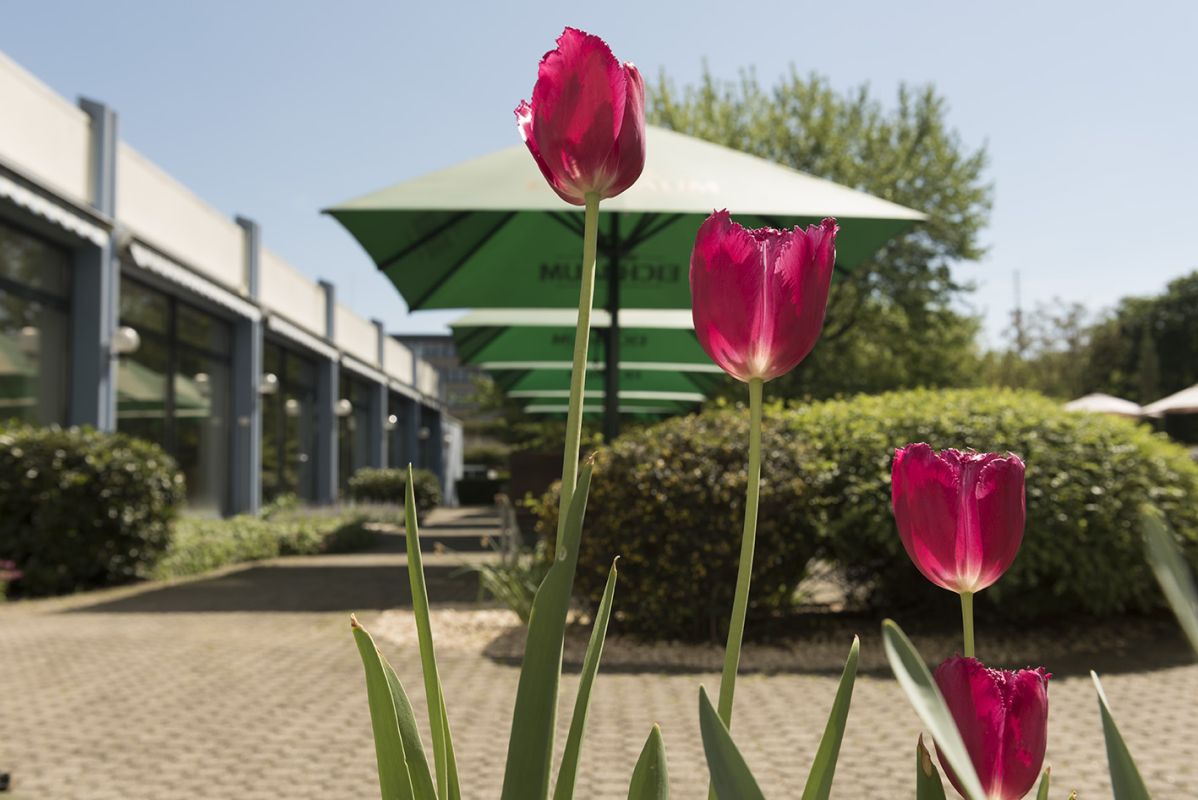 Mercure Hotel Mannheim am Friedensplatz Bild 3