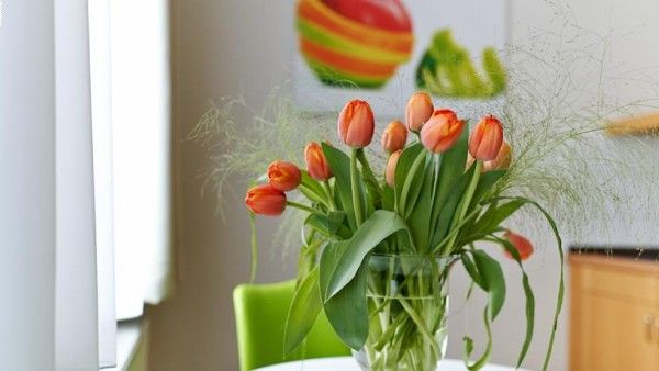 Boutique-Hotel Amalienhof Bild 29