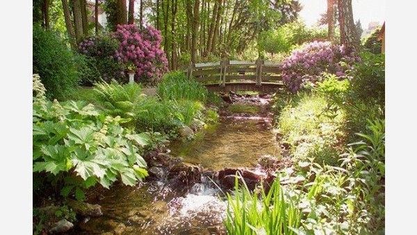 Parkhotel am Taunus Bild 12