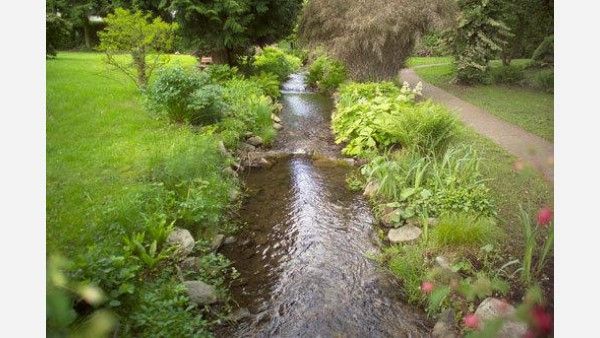 Parkhotel am Taunus Bild 18