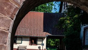 Vorschau 19