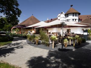 Vorschau 1