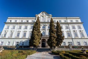 Vorschau 1