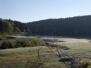 Vorschau 28