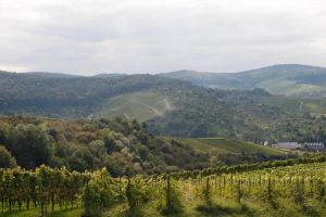 Vorschau 21