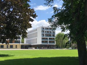 Vorschau 1