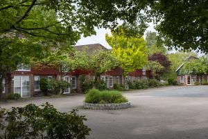 Vorschau 37