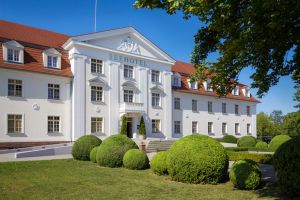 Vorschau 1
