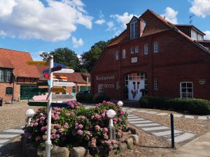 Vorschau 11