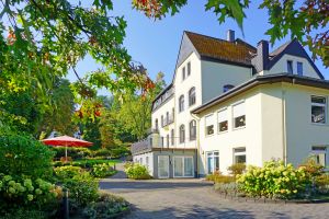 Vorschau 3