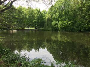 Vorschau 15