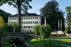 Vorschau 1