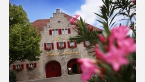 Vorschau 1