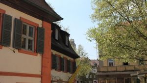 Vorschau 5