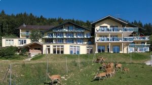 Vorschau 7