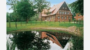 Vorschau 18