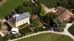 Vorschau 1