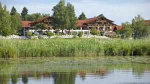 Vorschau 1