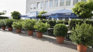 Vorschau 22
