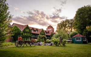 Vorschau 8