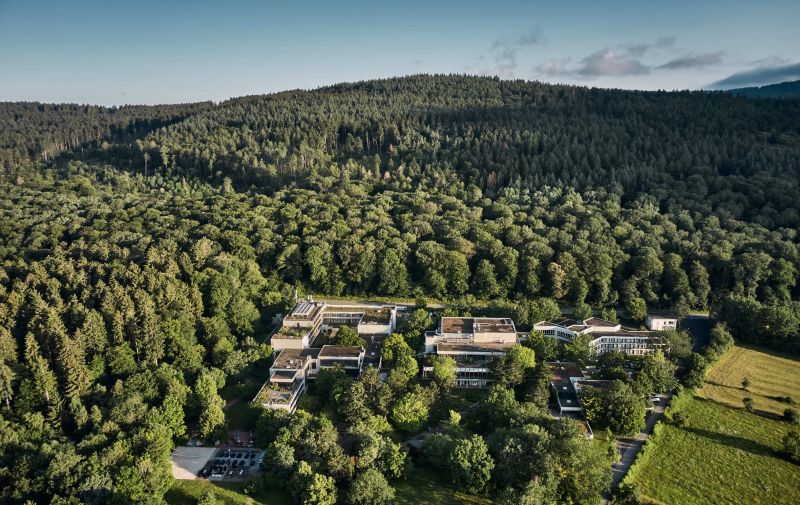 Bold Campus