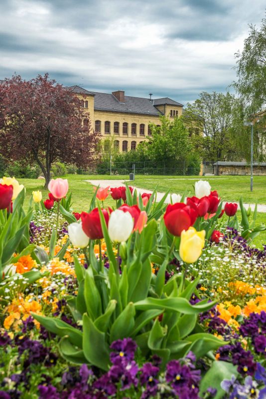 Schlosshotel Blankenburg Bild 30
