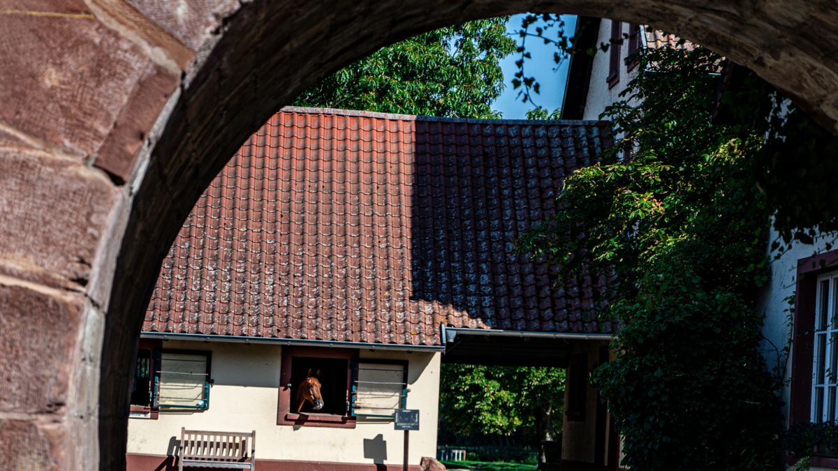 Der Linslerhof - Hotel, Restaurant, Events & Natur Bild 19