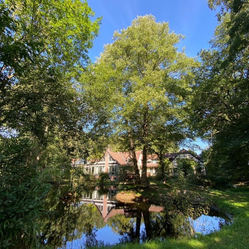 Ellernhof | Hotel | Tagungen | Retreats Bild 8