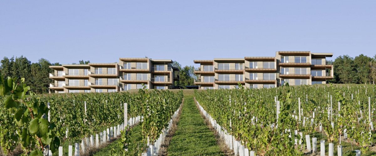 LOISIUM Wine & Spa Hotel Südsteiermark Bild 8
