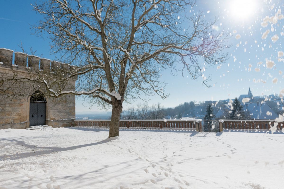 Schloss Seggau Bild 24