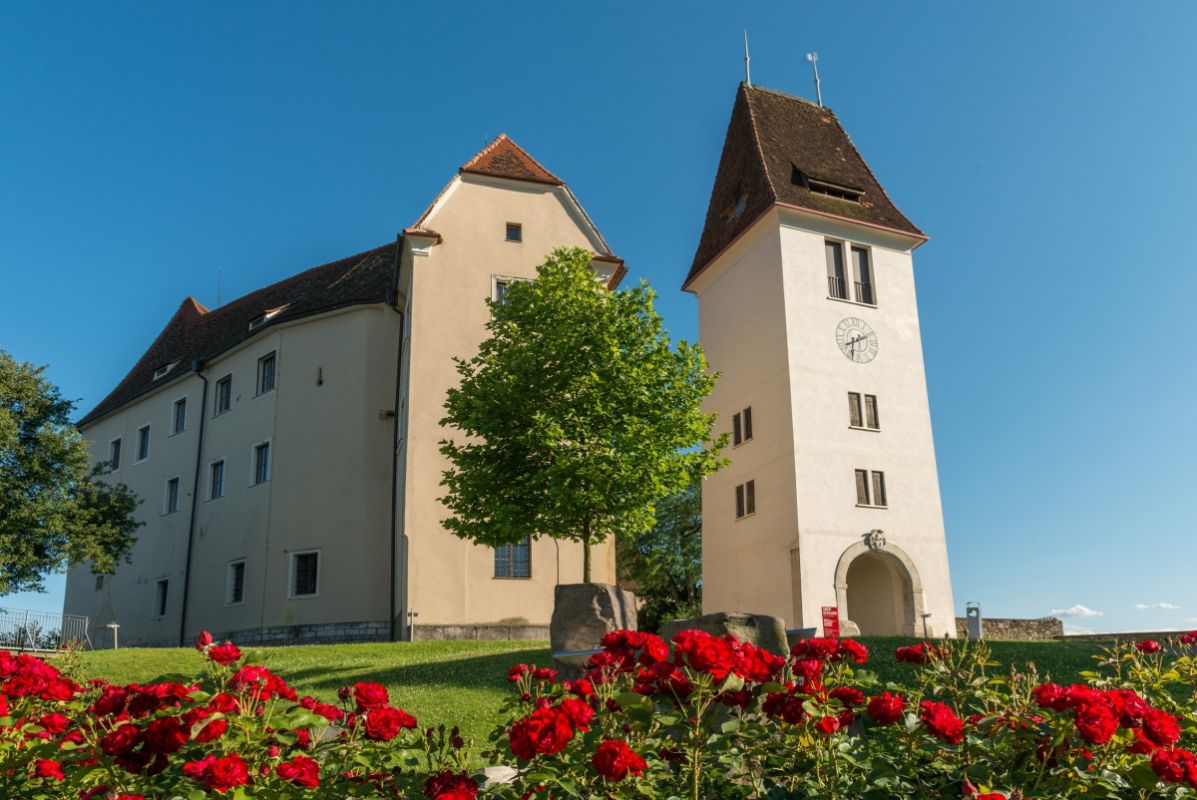 Schloss Seggau Bild 14