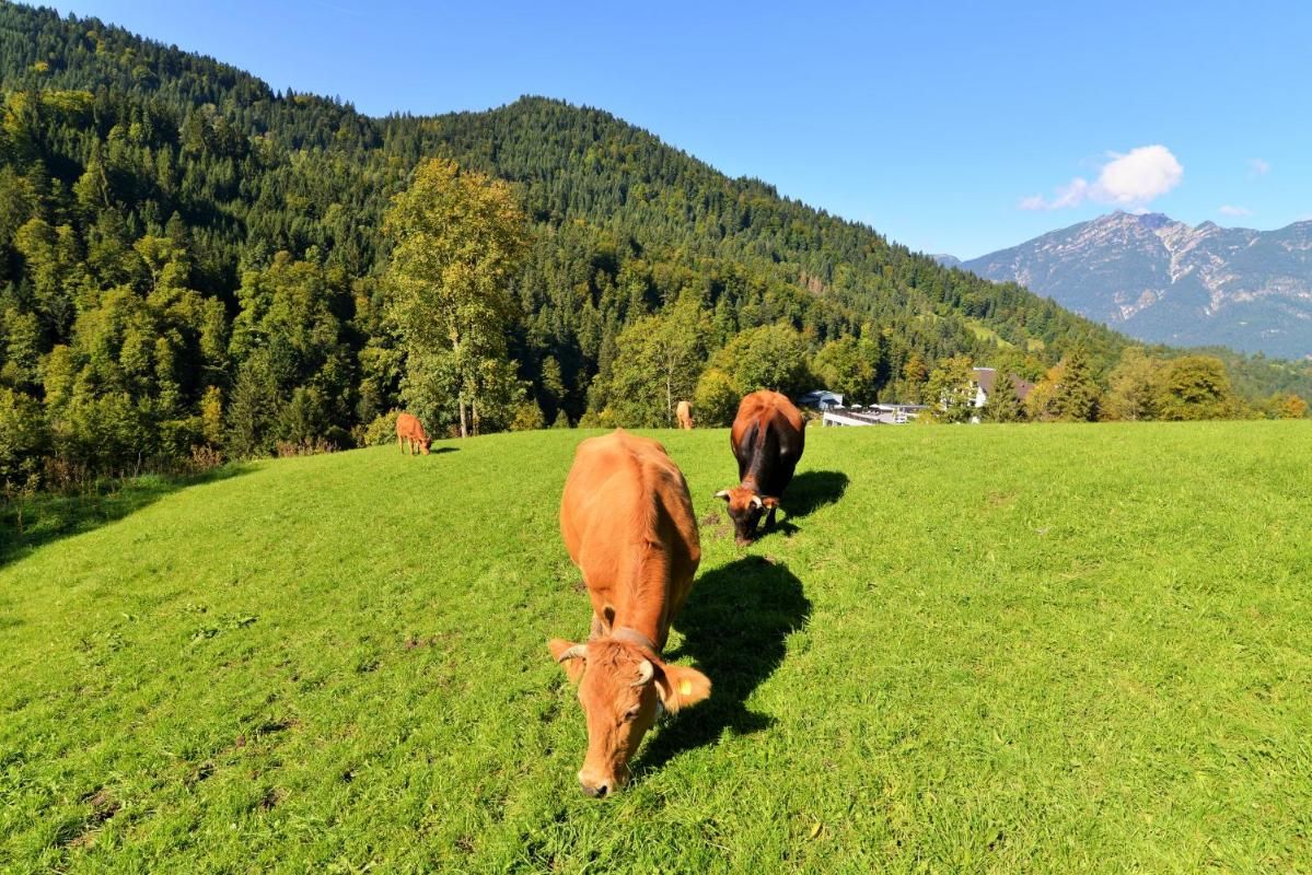 Das Graseck - mountain hideaway & health care Bild 14