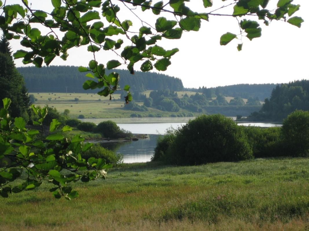 Hotel Grüne Tanne Mandelholz Bild 18