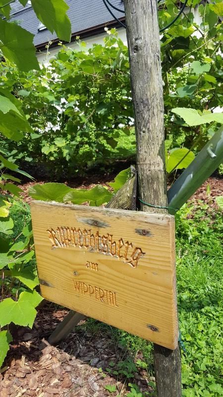 Hotel Wippertal - voll klimatisiert Bild 32