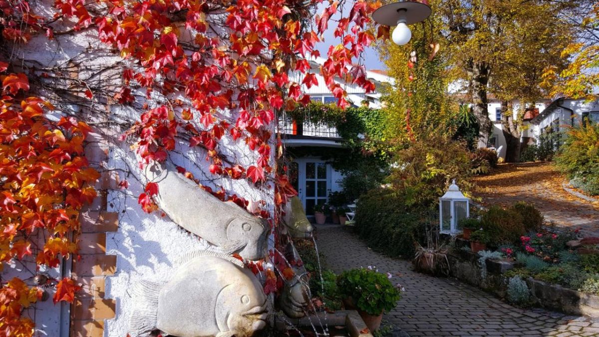 Altes Kurhaus Landhotel Bild 36