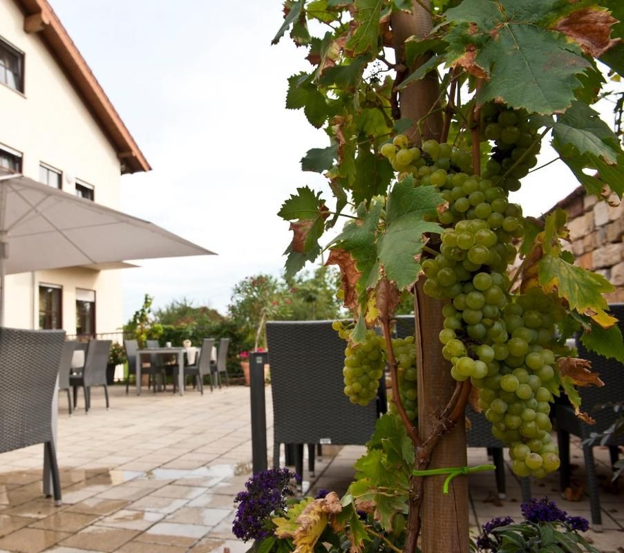 Weingut Sandwiese Winzerhotel Bild 38