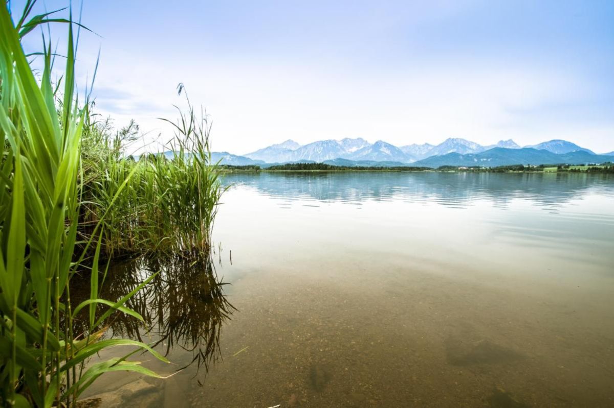 Hotel am Hopfensee Bild 21