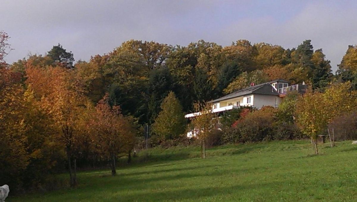 Zum Rebhang Bed & Breakfast