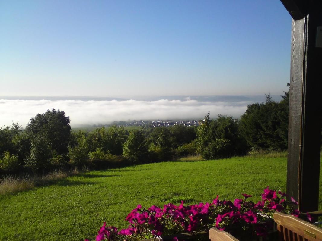 Zum Rebhang Bed & Breakfast Bild 32