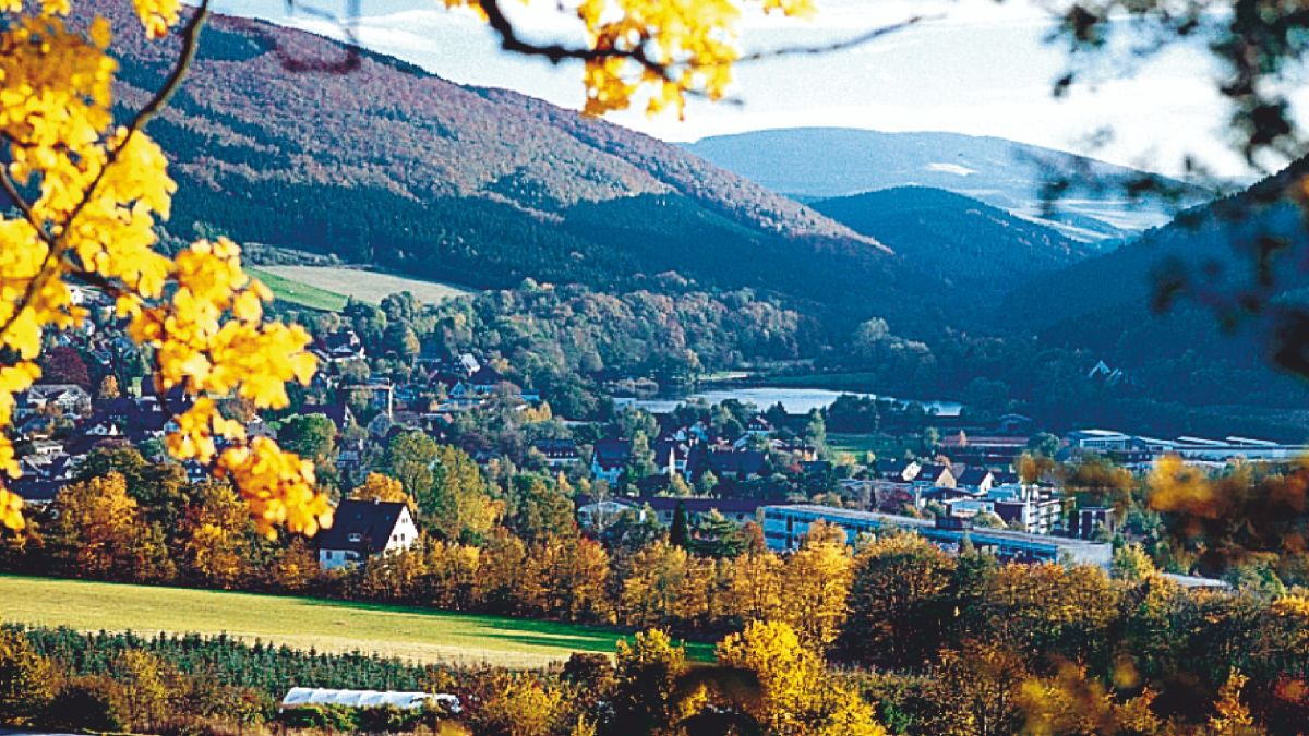 Fletcher Parkhotel Olsberg - Winterberg Bild 20