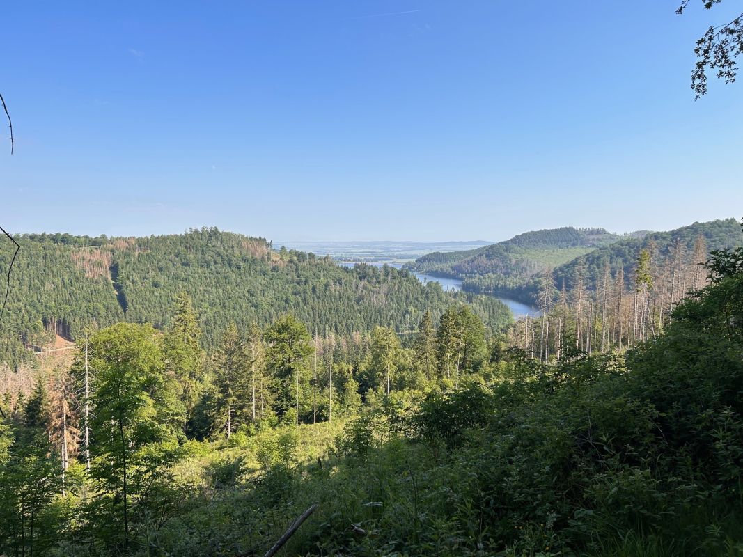Walpurgishof Bild 27