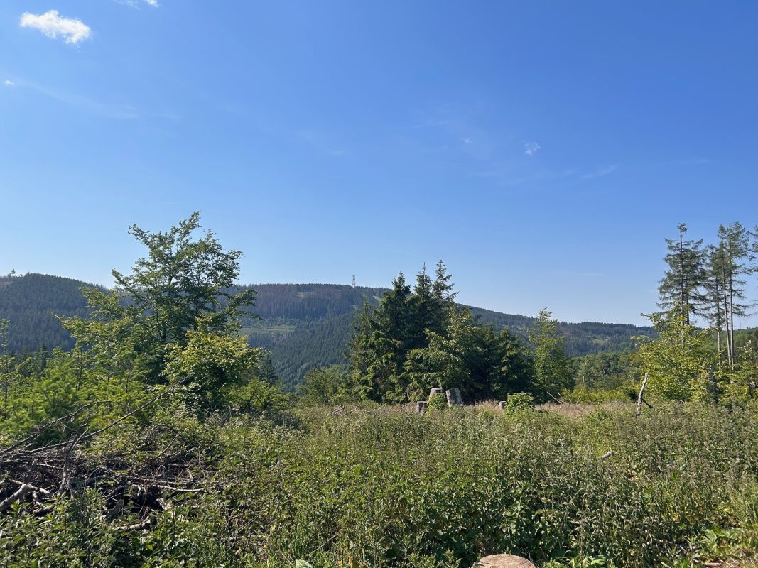 Walpurgishof Bild 28