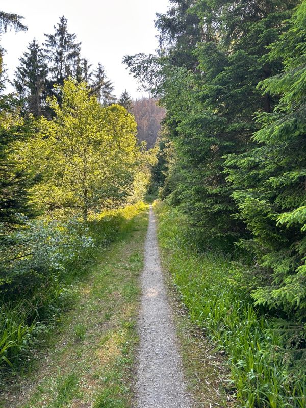 Walpurgishof Bild 29