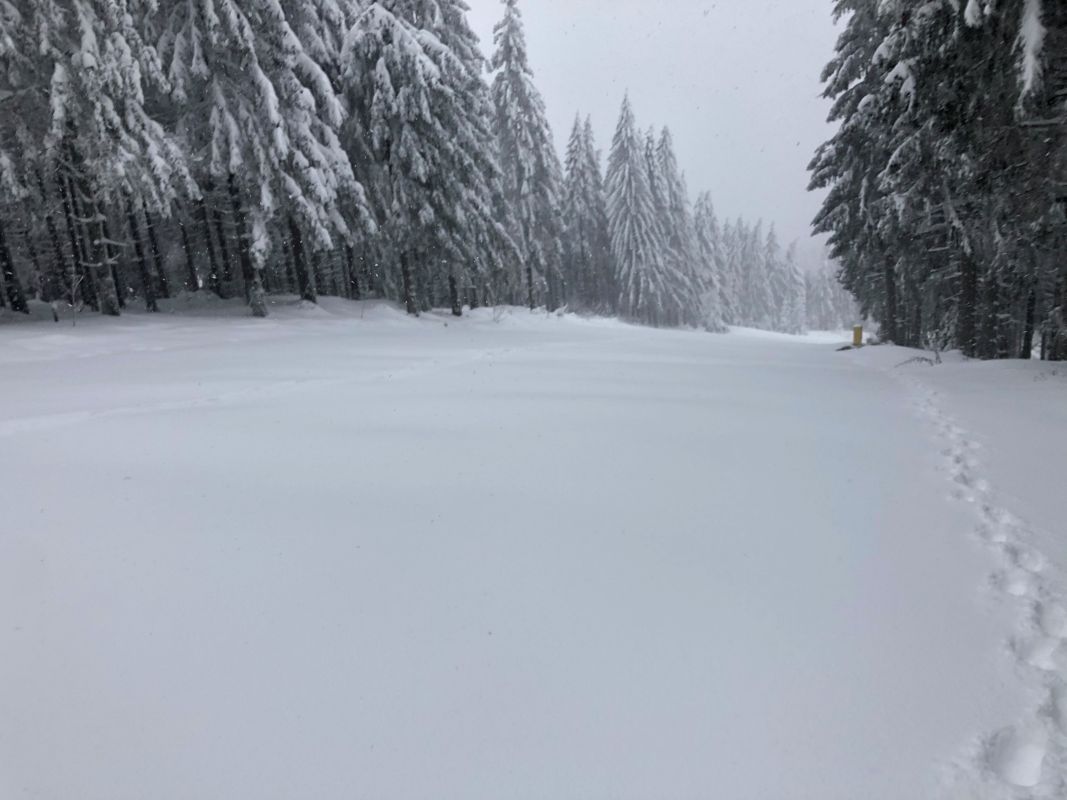 Walpurgishof Bild 32