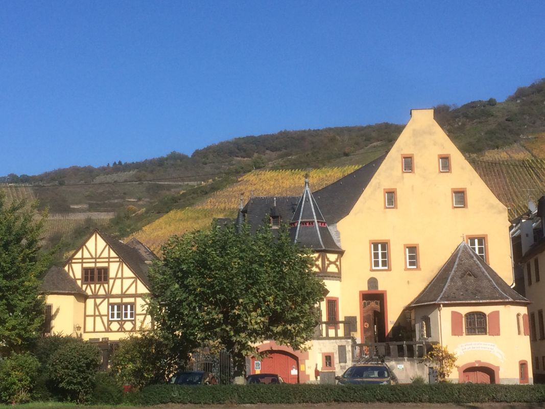Weingut & Schloss Freiherr v. Landenberg Bild 7