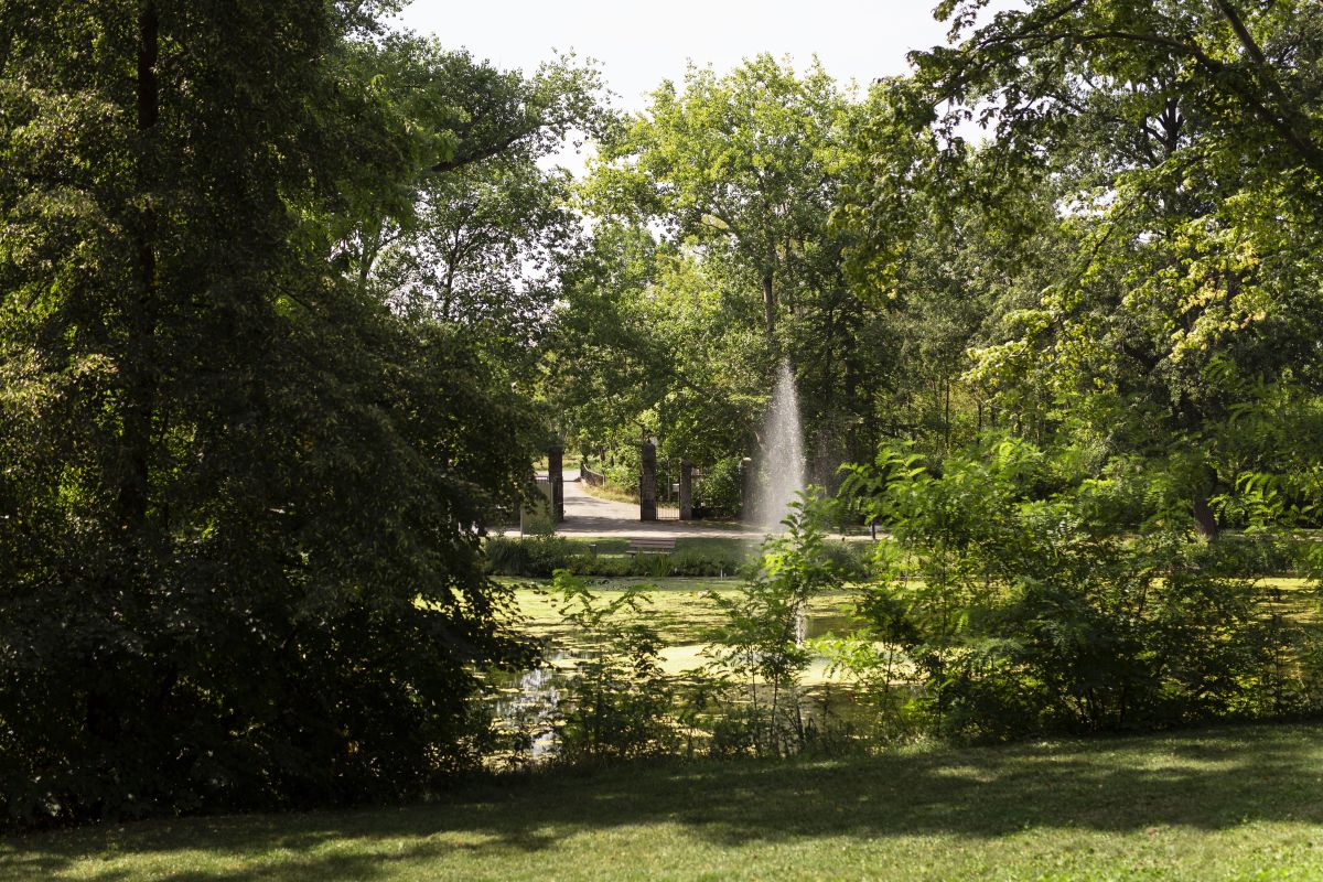 Schlosshotel Villa Westerberge Bild 41
