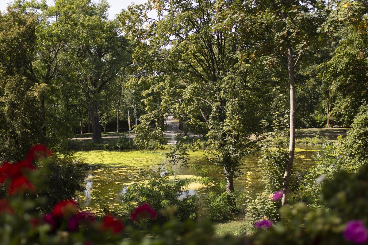 Schlosshotel Villa Westerberge Bild 8