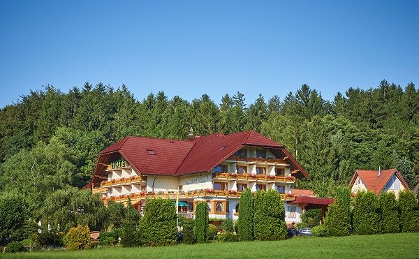 Silberkönig Schwarzwald Hotel & Restaurant Ringhotel Bild 19