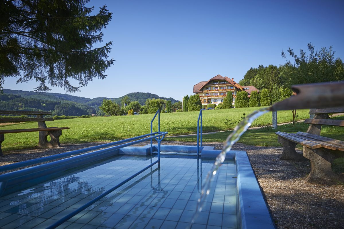 Silberkönig Schwarzwald Hotel & Restaurant Ringhotel Bild 44